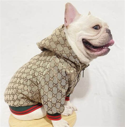 gucci schnauzer shirt|Gucci dog coats.